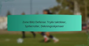 Zone Blitz Defense: Trykk taktikker, Spillerroller, Dekningsskjemaer