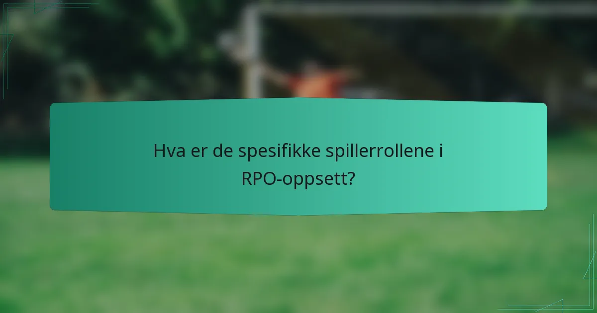 Hva er de spesifikke spillerrollene i RPO-oppsett?